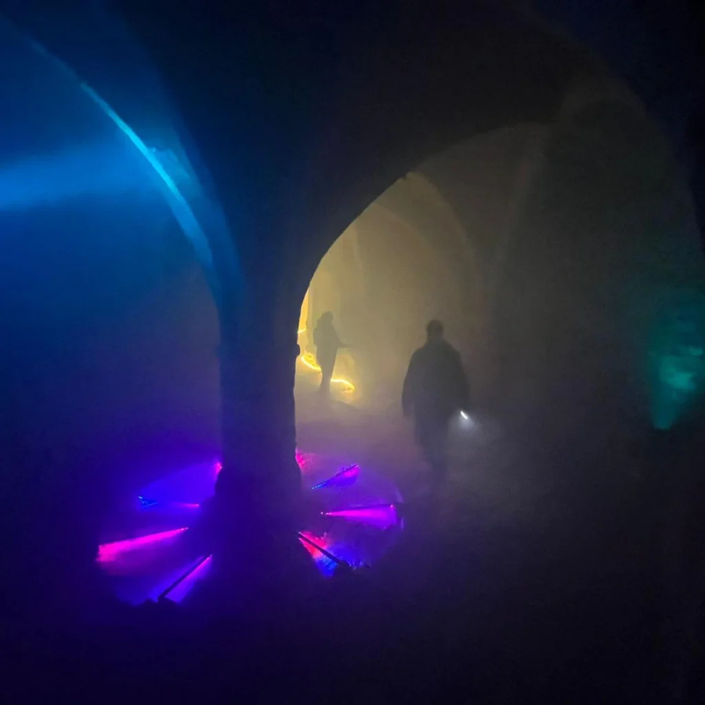 exposition beyond alive