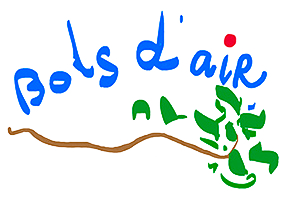 logo de Bols d'Air